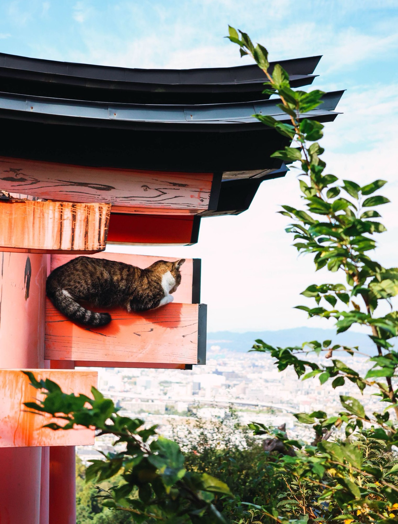 Fushimi Inari
